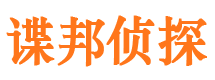 湖滨市侦探公司